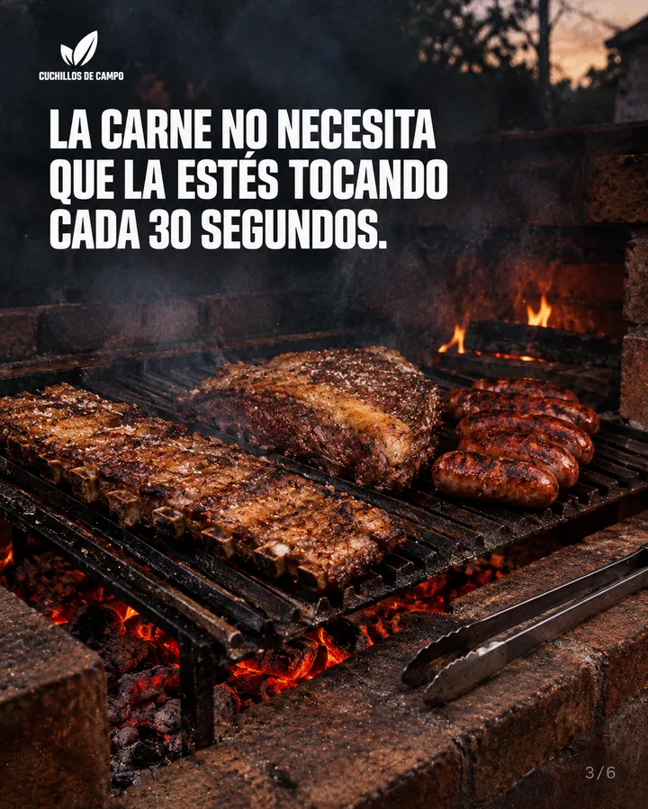 Slide 3 de 6