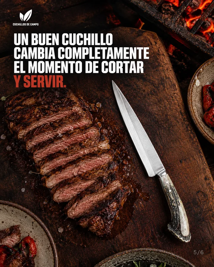 Slide 5 de 6